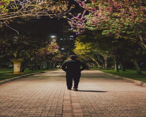 Person walking in a quiet park in Mexico City
